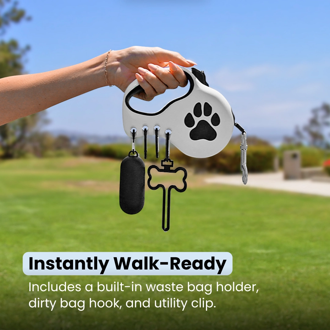 The Daily Walk Set