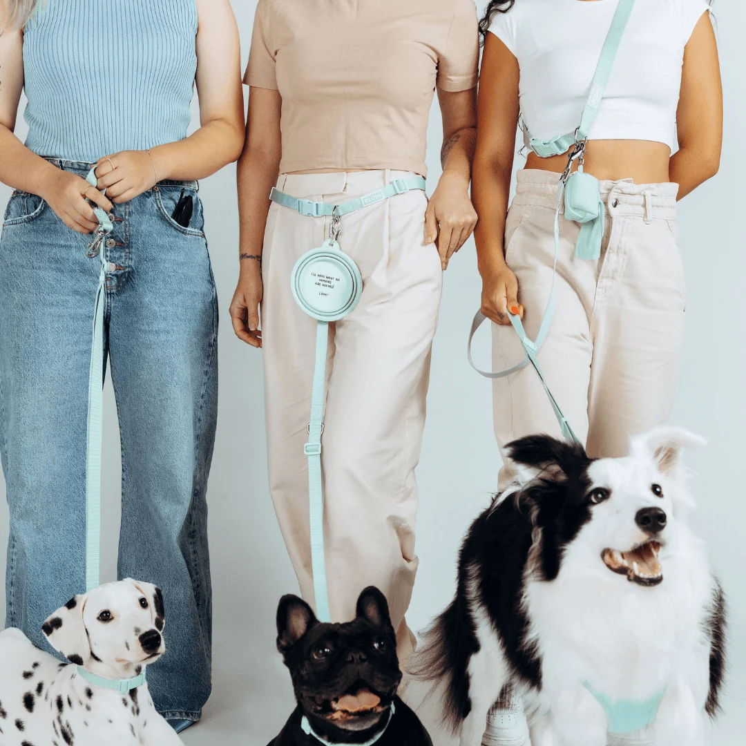 The Eco Walk Set